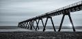 wharfnuit (9)
